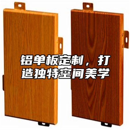 铝单板定制，打造独特空间美学